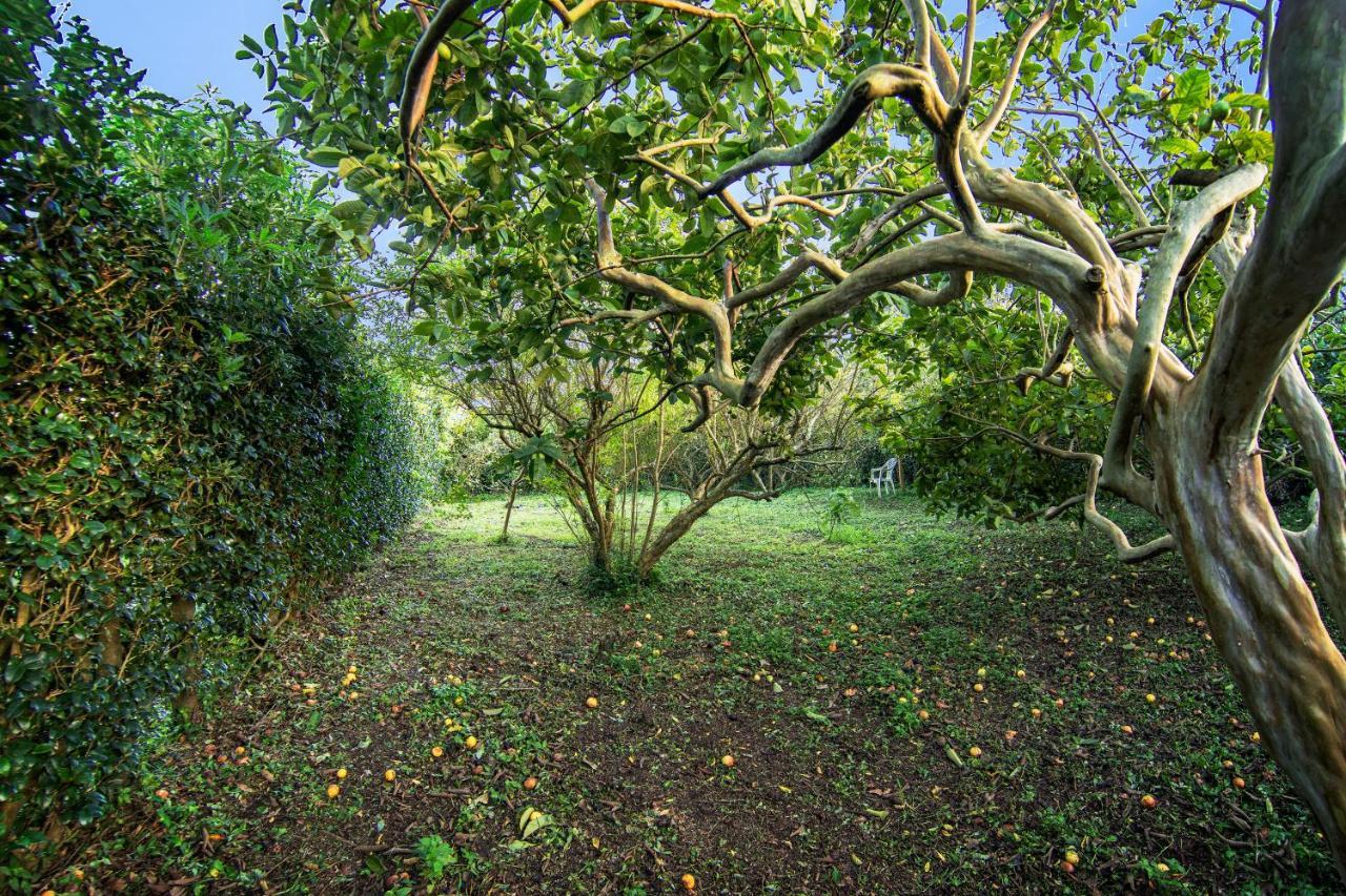 Casa Com Quinta Tradicional Villa Pico da Pedra Dış mekan fotoğraf